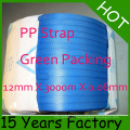 Plástico Venda Quente Reciclar 12mm PP Strapping